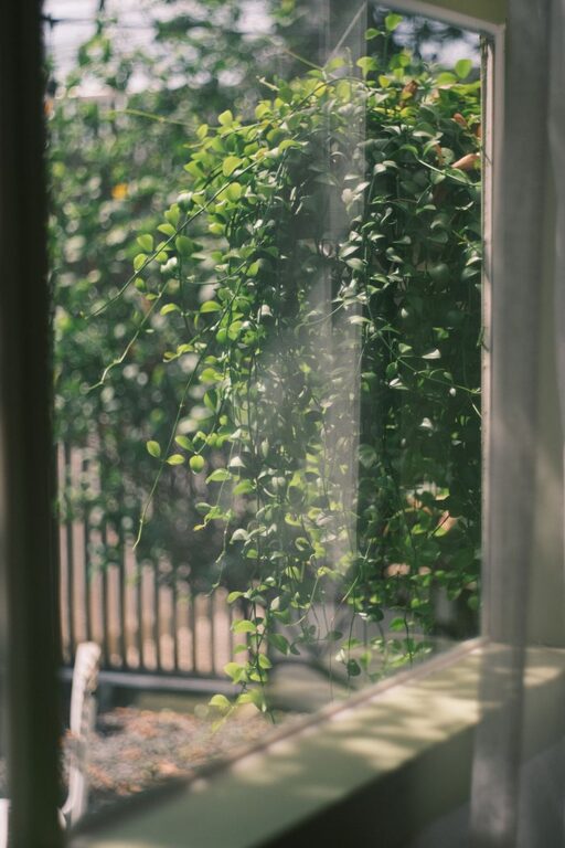 Tips for Creating a Relaxing Outdoor Garden Space at Home